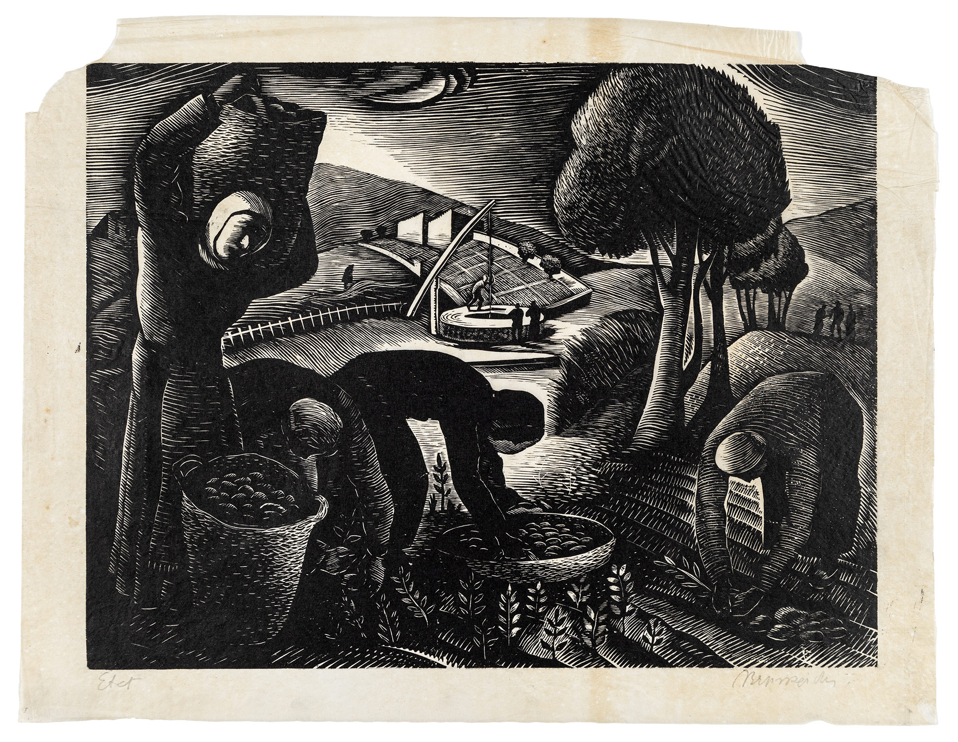 ΒΕΛΙΣΣΑΡΙΔΗΣ, Γιώργος.