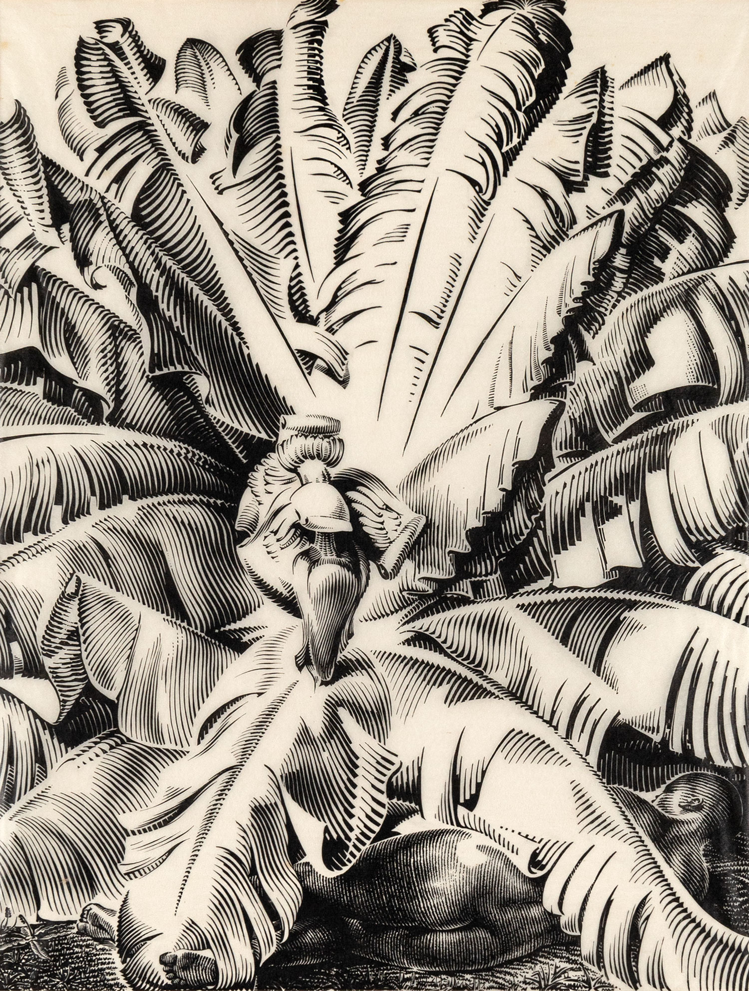 ΚΕΦΑΛΛΗΝΟΣ, Γιάννης.