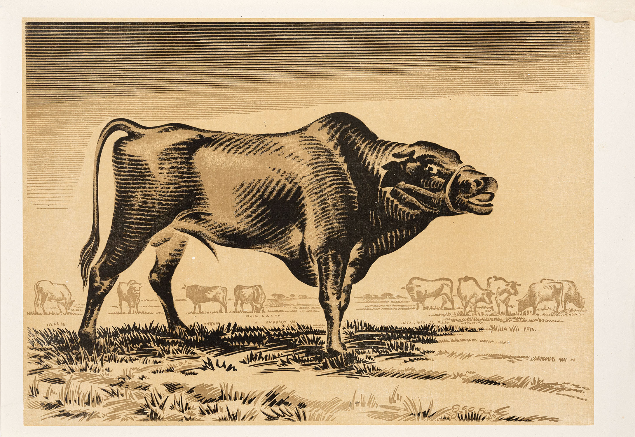 ΚΕΦΑΛΛΗΝΟΣ, Γιάννης.