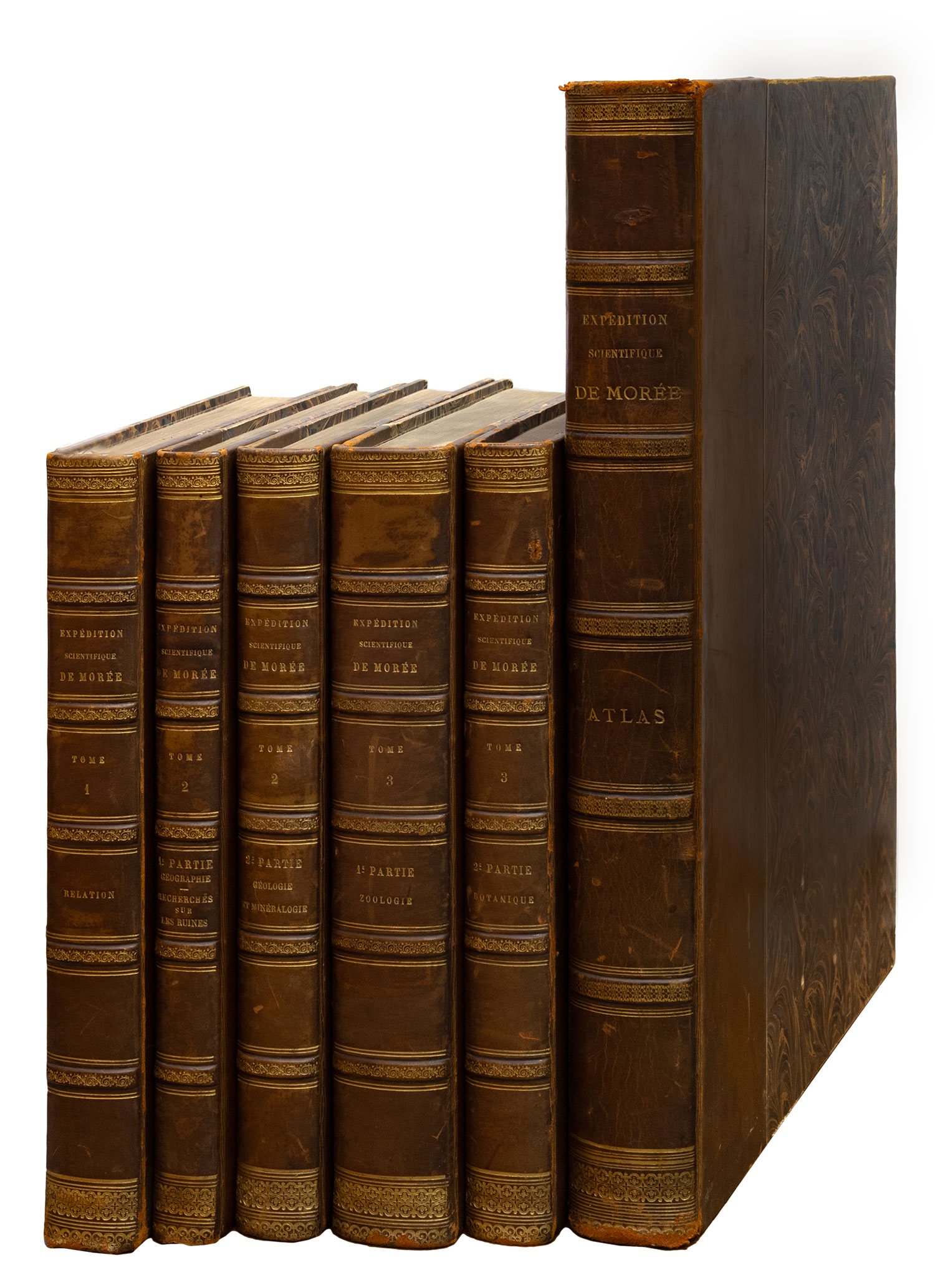 BORY DE SAINT-VINCENT, J. B.