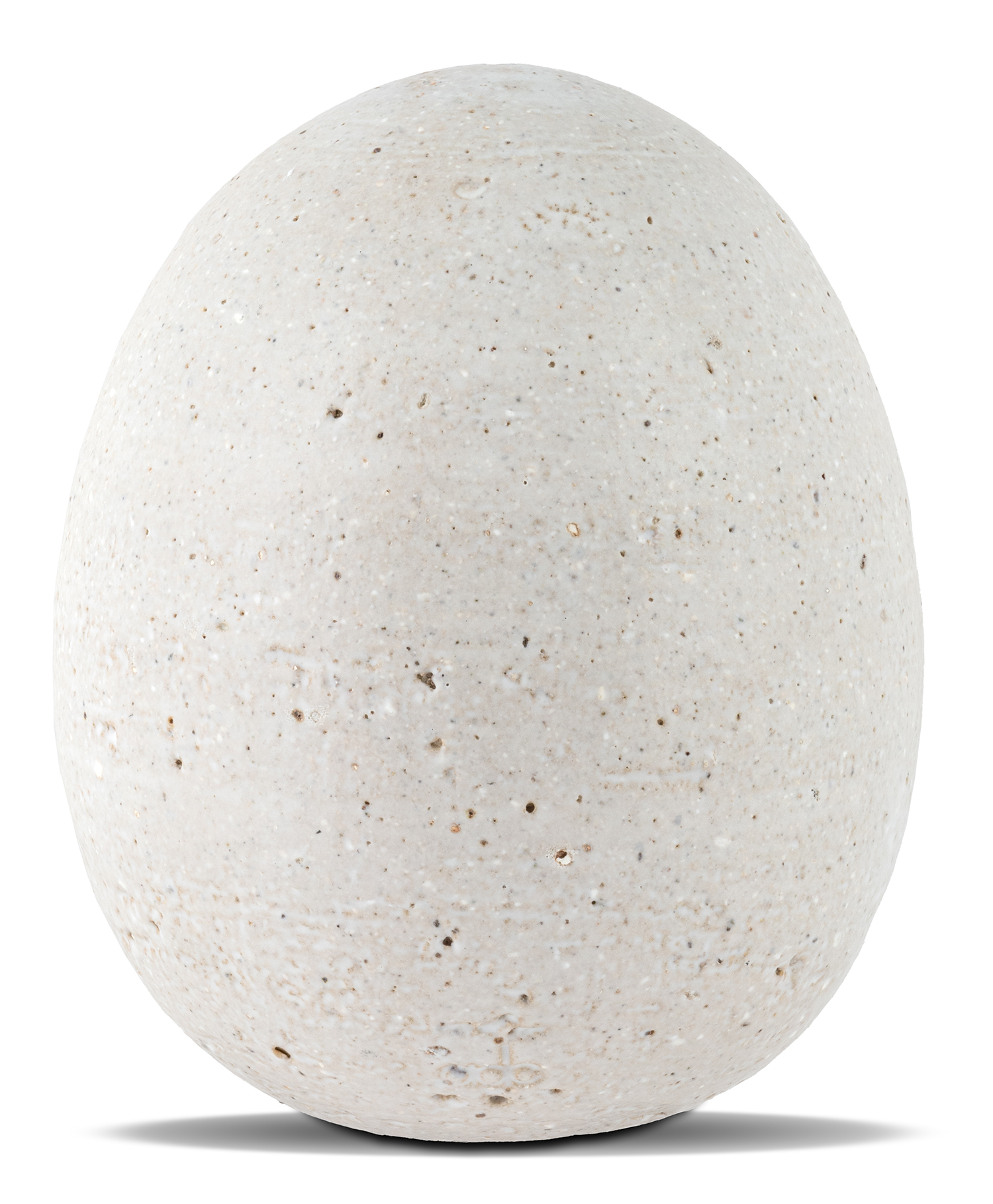 Ελένη Βερναδάκη