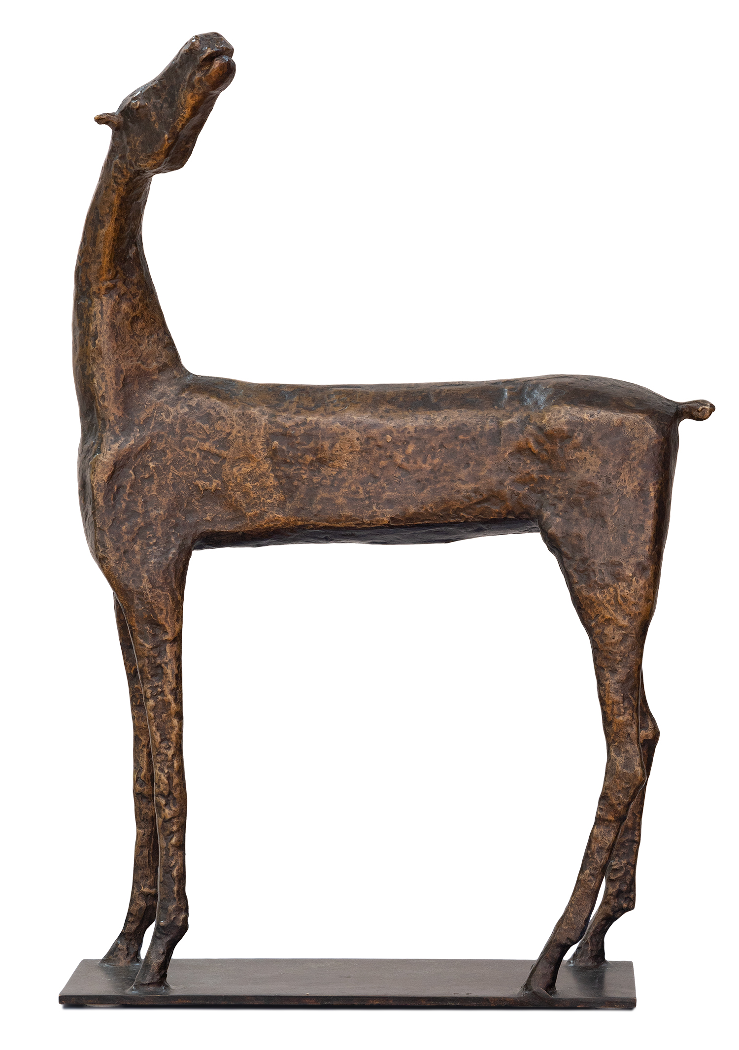 Γιώργος Ζογγολόπουλος