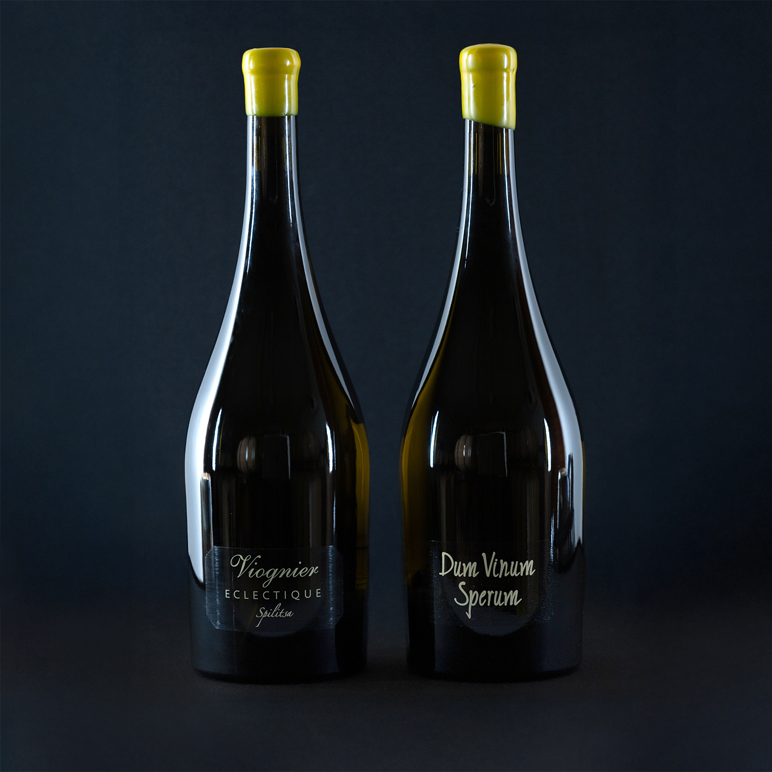 ΚΤΗΜΑ ΣΚΟΥΡΑΣ